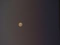 dsc04496.jpg