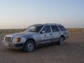 dsc04509.jpg
