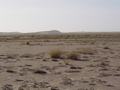 dsc04514.jpg