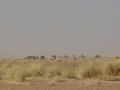 dsc04518.jpg