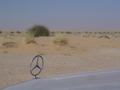 dsc04524.jpg