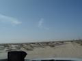 dsc04526.jpg
