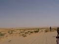 dsc04541.jpg