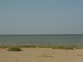 dsc04546.jpg
