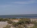 dsc04551.jpg