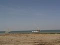 dsc04557.jpg