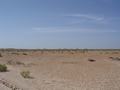dsc04559.jpg