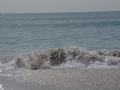 dsc04576.jpg