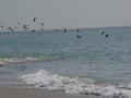 dsc04586.jpg