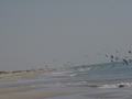dsc04587.jpg