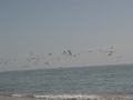 dsc04611.jpg