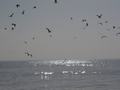 dsc04615.jpg