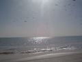 dsc04629.jpg