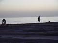 dsc04663.jpg