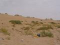 dsc04681.jpg