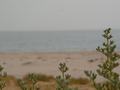 dsc04688.jpg
