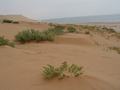 dsc04694.jpg