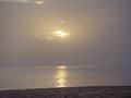 dsc04707.jpg