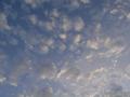 dsc04709.jpg