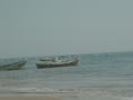 dsc04729.jpg