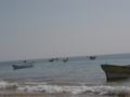 dsc04732.jpg