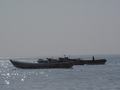 dsc04737.jpg