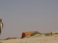dsc04738.jpg