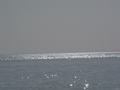 dsc04740.jpg