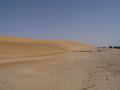 dsc04748.jpg
