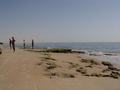 dsc04751.jpg