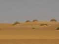 dsc04756.jpg