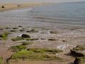 dsc04757.jpg