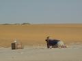 dsc04782.jpg