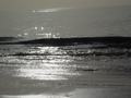 dsc04803.jpg