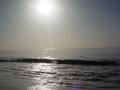dsc04808.jpg