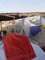dsc04849.jpg