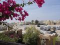 dsc04858.jpg