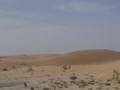 dsc04938.jpg