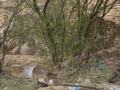 dsc04943.jpg