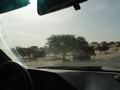 dsc04981.jpg