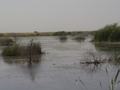 dsc04999.jpg
