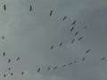 dsc05013.jpg