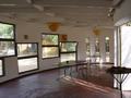 dsc05086.jpg