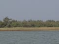 dsc05096.jpg