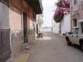 dsc05115.jpg