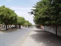 dsc05118.jpg
