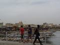 dsc05132.jpg