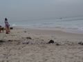 dsc05155.jpg