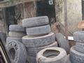 dsc05173.jpg