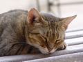 dsc05176.jpg